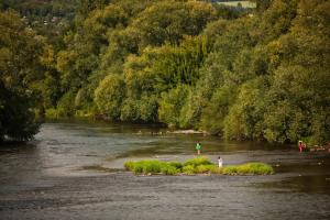 Blick auf das Saaleufer