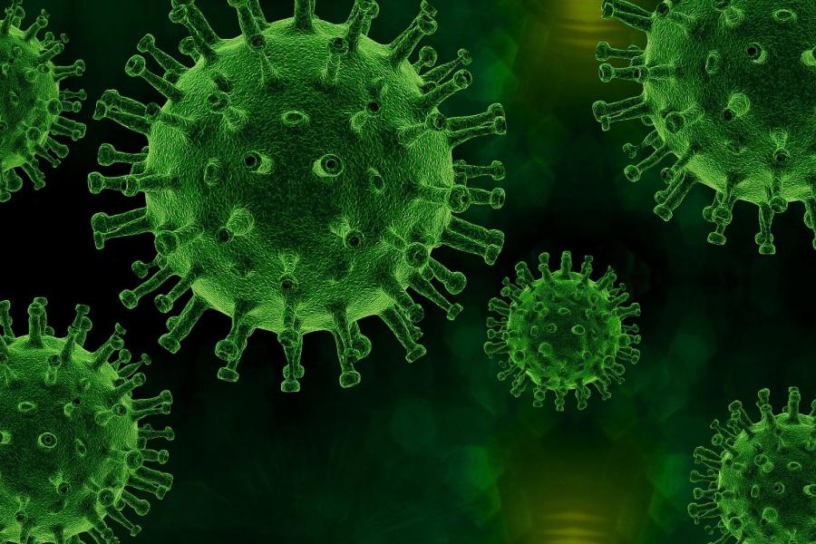 Grüner Virus auf schwarzem Hintergrund